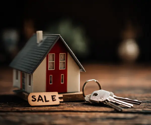 Retratos profesionales