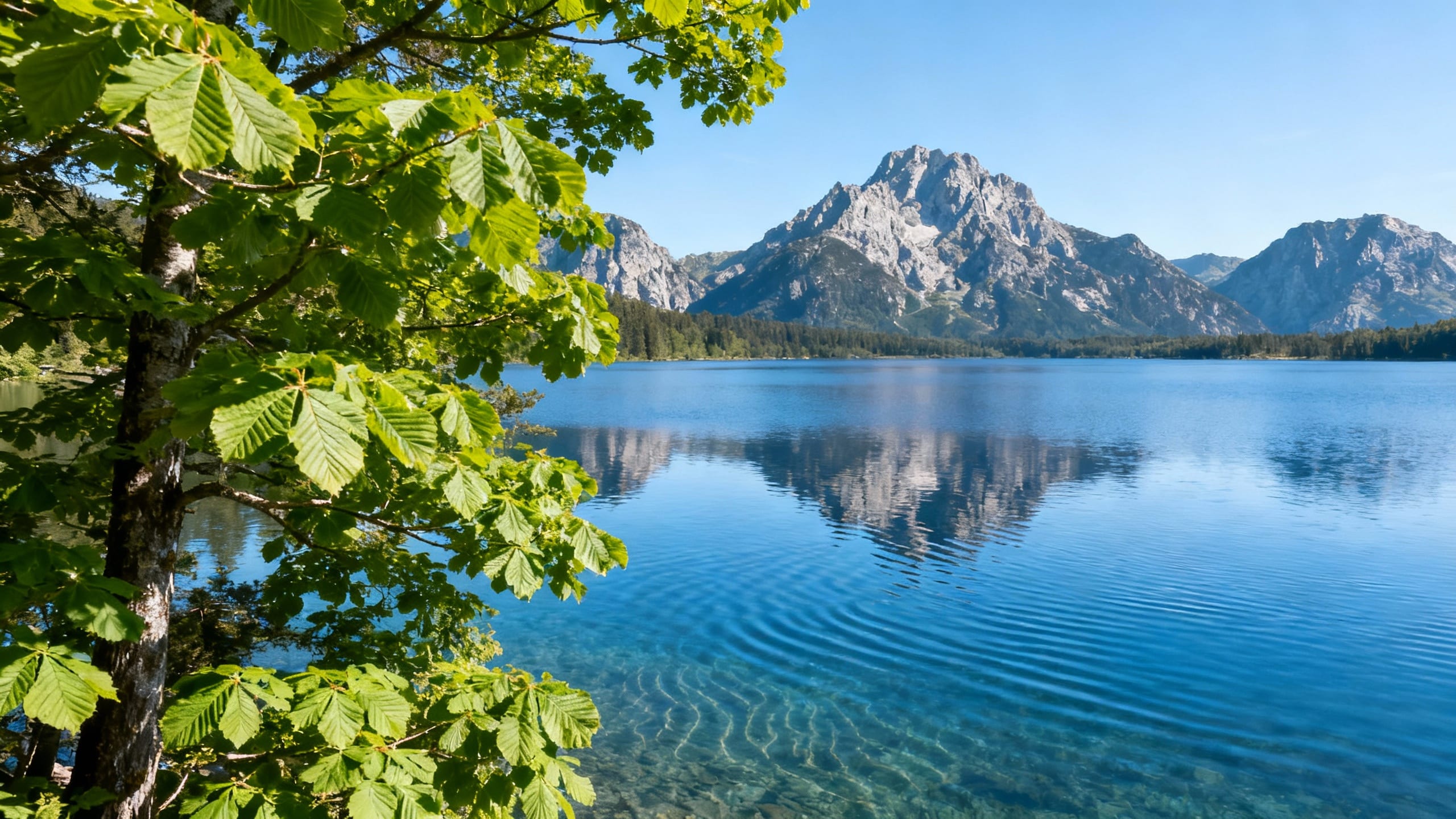 A perfectly restored landscape photo with no digital distractions, showcasing crystal clear details